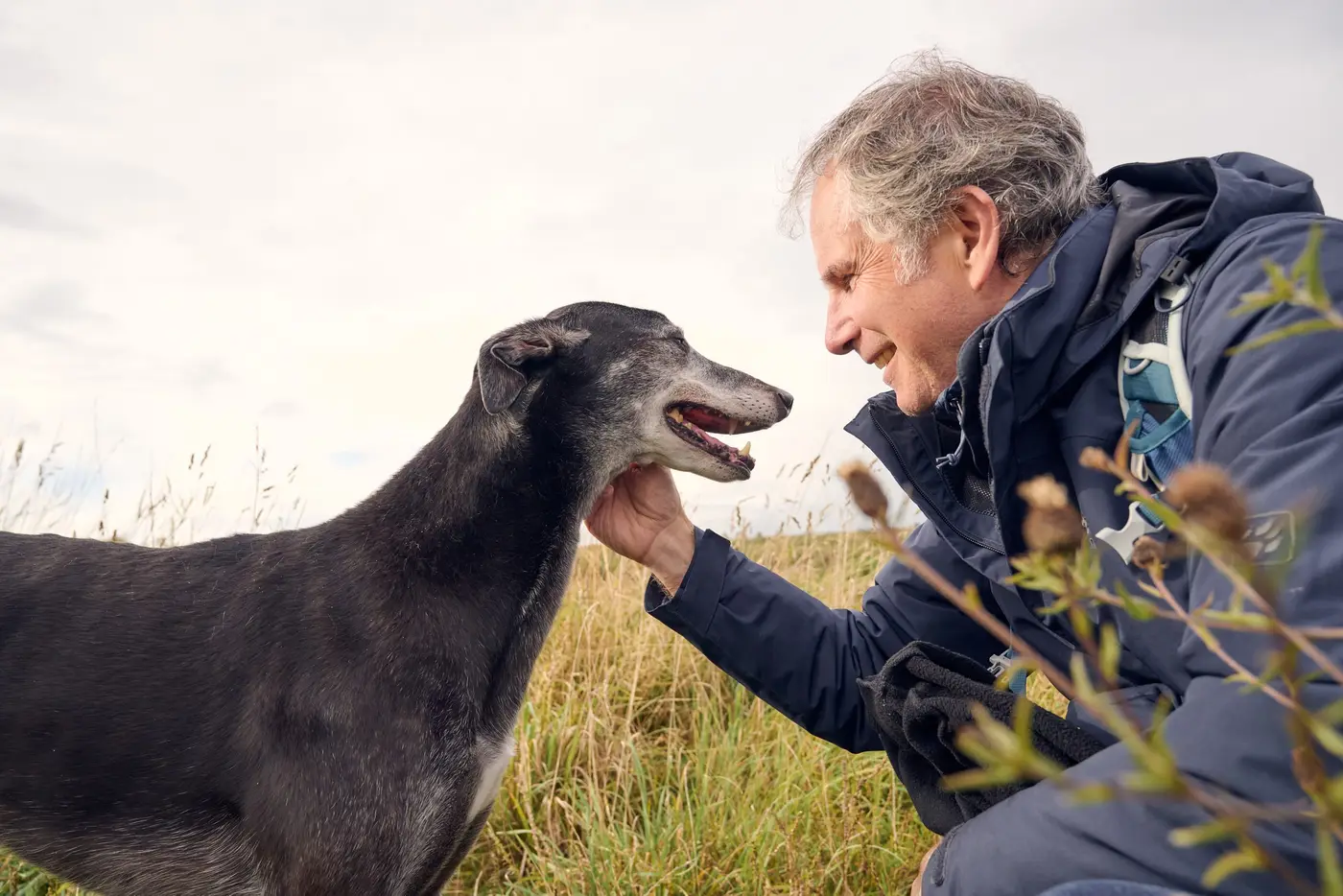 greyhound and man on nature reserve