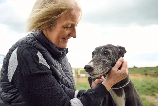 Adoption story: Mark, Helen, Wolfie & Sandy
