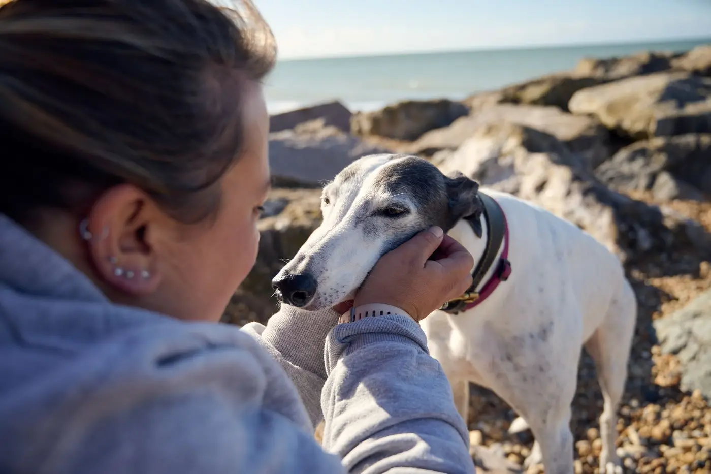 greyhound and lady with sun shining on beach
